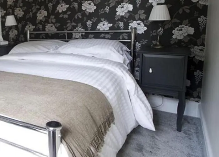 Top Pet Friendly Hotels in Salisbury